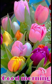 Pin By Jo Ann On Good Morning Beautiful Flowers Garden Amazing Flowers Spring Flowers