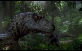 Jurassic park iii is a 2001 american science fiction adventure thriller film. 3 Jurassic Park Iii Hd Wallpapers Background Images Wallpaper Abyss