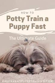 Aug 08, 2019 · the truth is that the process can take several weeks and up to several months or longer. How To Potty Train A Puppy Fast The Ultimate Guide