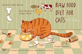 Canned food canned cat food has a moisture content of at least 75 percent, making it a good dietary source of water. Should You Feed Your Cat A Raw Diet