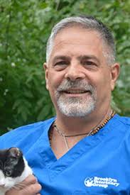Brooklyn Vet Groups