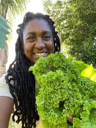 First harvest of mustards and romaine lettuce!