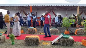 Kiharu mp ndindi nyoro finally took that advice that president uhuru kenyatta during the wedding of the murang'a senator and decided to quit the bachelor's club. Kiharu Mp Ndindi Nyoro S Traditional Wedding Photos And Videos Tuko Co Ke