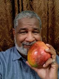 Do you guys think Keitt mango is good for rootstock?