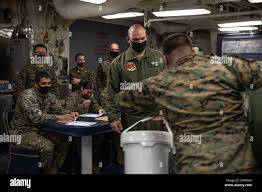 Image result for Medium Brown 2021 Fleet