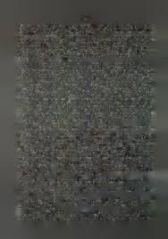 Image result for Dipcadi vaginatum