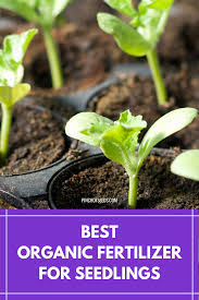 If you are growing vegetables you need fertilizer. Best Organic Fertilizer For Seedlings Organic Fertilizer For Vegetables Organic Liquid Fertilizer Organic Fertilizer