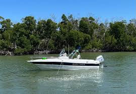 Explore Campion Chase 600ob Bowrider boats for sale