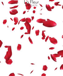 Abstract spring green leaves falling animation loop/4k animation of an abstract spring or summer season background with green leaves rising and flying seamless looping. Red Rose Petals Falling Gif