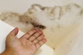 How to find a roof leak with no attic. How To Find Roof Leaks Steps With No Attic Access More
