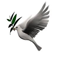 Animated Birds Flying In The Sky Gif Https Encrypted Tbn0 Gstatic Com Images Q Tbn 3aand9gctltauq1vxiayoi76eeknsh6qprbiz2r64o7a Usqp Cau