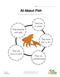 All About Fish Worksheet Fish Life Cycle Animal Groups Animal Classification