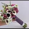 Oregon coastal flowers has searched the world for the best varieties of calla lilies for cut flower production. 1