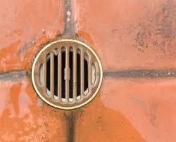 Maybe you would like to learn more about one of these? Sewer Services G P Root Raiders Plumbing