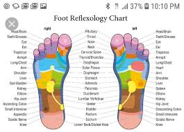 Pin By Jackie Cash On Dr Mom Reflexology Foot Chart Foot Reflexology Reflexology Chart