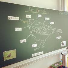 Die Amsel Als Kurzes Zwischenthema Bevor Es Mit Dem Gewimmel Auf Der Wiese Weitergeht Heute Haben Wir Die Korperte Schulideen Amsel Sachunterricht Grundschule