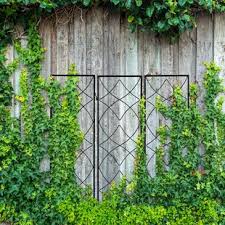 „green divider von offecct ist ein moderner pflanzkasten mit rankgitter. Rankgitter Metall Zum Verlieben Wayfair De