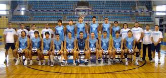 El equipo masculino de voley de argentina logró su boleto a tokio 2020 en agosto pasado, cuando superó en el torneo internacional olímpico en ningbo a canadá, finlandia y el local china. Complicaciones Para Entrenar A Un Equipo De Liga Nacional De Voleibol Masculino En La Republica Argentina