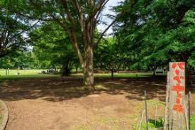 小金井公園/小金井市/東京都/BBQ/バーベキュー/レンタル/手ぶら/配達/BBQ太郎/
