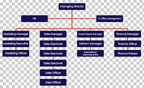 organizational structure organizational chart management