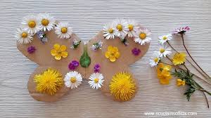 Maybe you would like to learn more about one of these? Attivita Creative Con I Fiori Per Bambini Il Mandala Della Farfalla Scuolainsoffitta