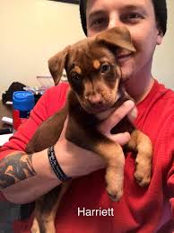 Congrats Stace Smith