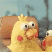 Check spelling or type a new query. Cool Gif Images Scared Chicken Gif