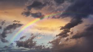 Download and use 3,000+ rainbow stock photos for free. 11 Stunning Images Of Rainbows And Their Less Famous Cousins