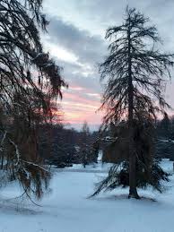 As fall begins to settle in, the cool breezes begin to pick up, foreshadowing of the coming of a snowy and cold winter. Verein Wissensvermittlung In Der Denkmalpflege Home Facebook