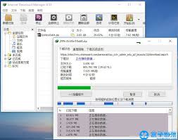 After 30 days we have to pay in order to use it again. Internet Download Manager V6 32 9 Downloader Green Simplified Chinese Programmer Sought