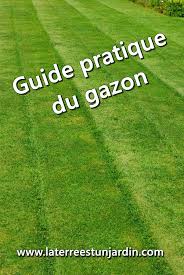 Le jardin de catherine et mr.bricolage se sont unis et désormais ils vivent ensemble ! Guide Pratique Du Gazon La Terre Est Un Jardin Gazon Gazon En Rouleau Travaux De Jardinage