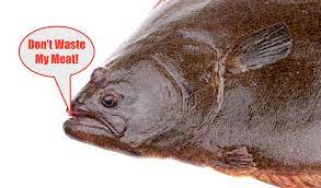 How To Clean Flounder & Halibut Like A Pro! (Video)
