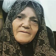 Mohammad Talebi (@talebi.vakil) • Instagram photos and videos