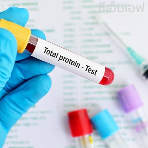 PROTEIN product image