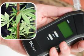 Image result for ROADSIDE MARIJUANA BREATH TESTS