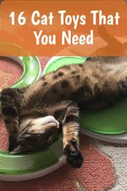 Ultimate Cat Supplies List Everything Your Cat Needs 2020 In 2020 Healthy Cat Food Kitten Supplies Cat Supplies