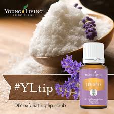 Lavender Essential Oil Lavender Essential Oil Exfoliating Lip Scrub Diy Essential Oils