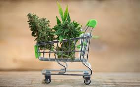 Buy weed with credit card online. Buy Weed Online Best Websites To Order Recreational Marijuana Heraldnet Com