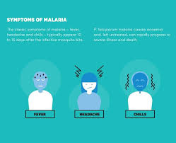 Who fact sheet on malaria providing key facts, definition, information on transmission, symptoms children with severe malaria frequently develop one or more of the following symptoms: Malaria Symptoms Usually World Health Organization Who Facebook