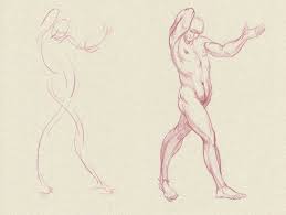 Anatomical models are of the male musculoskeletal system only. Drawing Anatomy For Beginners Top 5 Dos And Don Ts