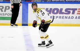 Ship and track parcels with dhl express. Brynas Sdhl Damhockey