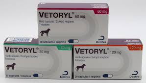 Use these tips before purchasing pet medications online to keep your pet safe from harm. Vetoryl Capsules For Dogs Viovet
