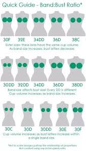 what is the difference between 32c and 34b bra sizes quora