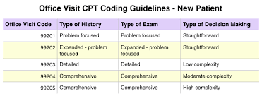 Cracking The Cpt Code How To Assign An Office Visit Code Cpt Codes Coding Cpt