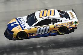 2020 Food City 500 Paint Schemes Jayski S Nascar Silly Season Site