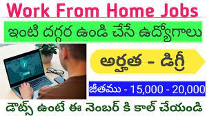 Work From Home Jobs 2020 Work From Home Jobs In Telugu Genuine Work From Home Jobs It Sector Youtube