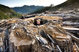 Stump the Professor" Fred Ebert Rejects Debate Offer