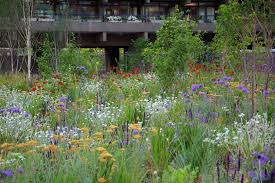 Nigel Dunnett On Twitter Small Urban Garden Landscape Design Cottage Garden Design