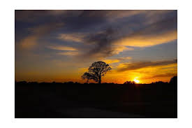 Profile for Jafet Ramirez