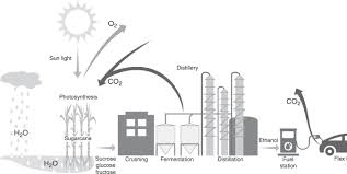 Plans are afoot for e10 fuel to become the standard grade at forecourts across the country. Scielo Brasil Ethanol Production In Brazil A Bridge Between Science And Industry Ethanol Production In Brazil A Bridge Between Science And Industry